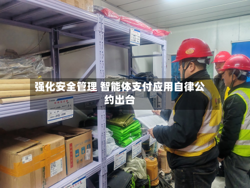 强化安全管理 智能体支付应用自律公约出台-第3张图片