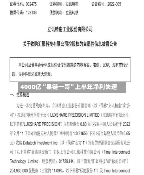 4000亿“果链一哥	”上半年净利失速-第2张图片