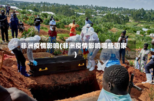 非洲疫情影响(非洲疫情影响哪些国家)-第2张图片