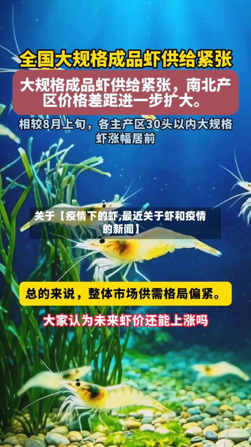 关于【疫情下的虾,最近关于虾和疫情的新闻】-第2张图片
