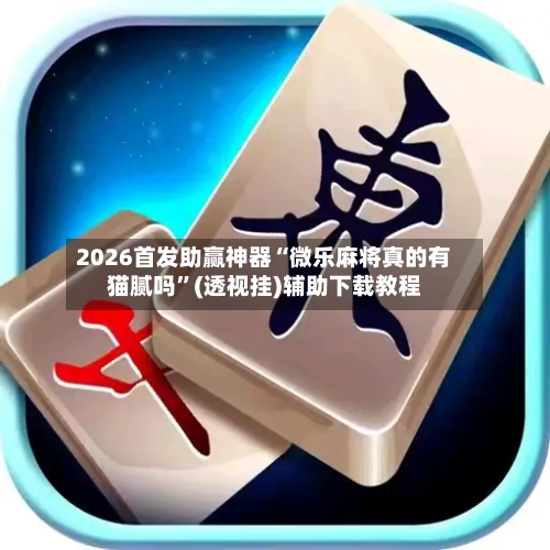 2026首发助赢神器“微乐麻将真的有猫腻吗”(透视挂)辅助下载教程-第1张图片