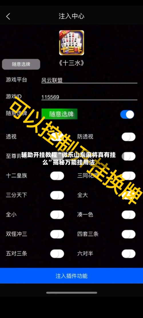 辅助开挂教程“微乐山东麻将真有挂么”揭秘万能挂用法-第1张图片