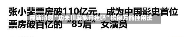 最新消息“功夫川麻能开挂吗	”揭秘万能挂用法-第2张图片