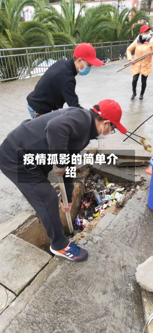 疫情孤影的简单介绍-第3张图片