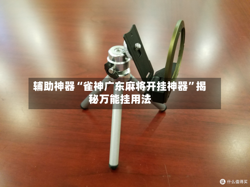 辅助神器“雀神广东麻将开挂神器	”揭秘万能挂用法-第1张图片