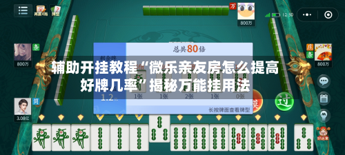 辅助开挂教程“微乐亲友房怎么提高好牌几率	”揭秘万能挂用法-第1张图片