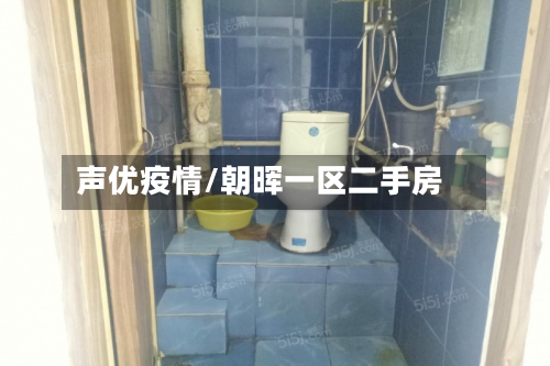 声优疫情/朝晖一区二手房-第1张图片