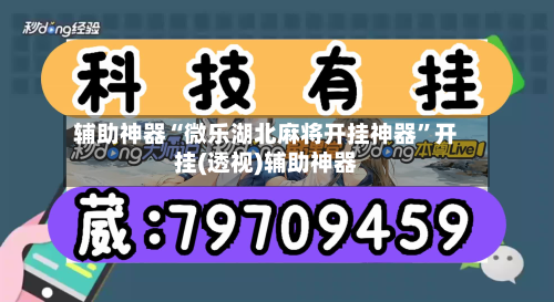 辅助神器“微乐湖北麻将开挂神器	”开挂(透视)辅助神器-第1张图片
