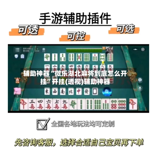 辅助神器“微乐湖北麻将到底怎么开挂	”开挂(透视)辅助神器-第1张图片