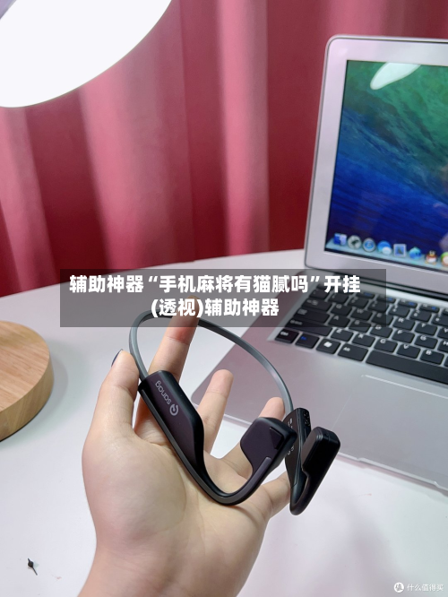 辅助神器“手机麻将有猫腻吗”开挂(透视)辅助神器-第2张图片