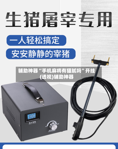 辅助神器“手机麻将有猫腻吗	”开挂(透视)辅助神器-第1张图片