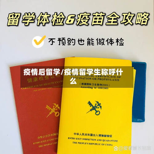 疫情后留学/疫情留学生称呼什么-第1张图片