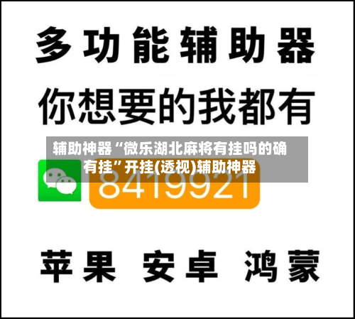 辅助神器“微乐湖北麻将有挂吗的确有挂”开挂(透视)辅助神器-第1张图片