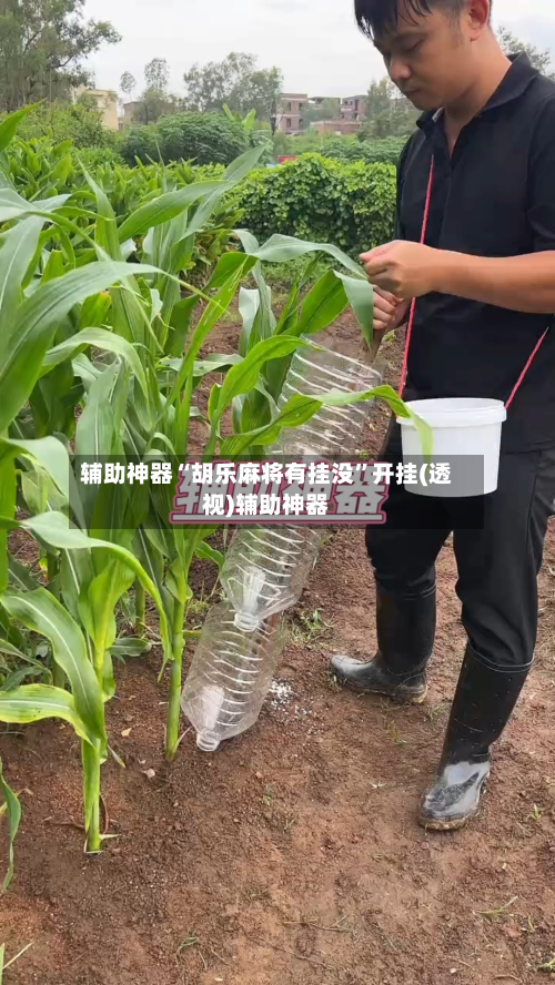 辅助神器“胡乐麻将有挂没”开挂(透视)辅助神器-第2张图片