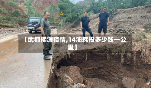 【武都佛涯疫情,14油耗投多少钱一公里】-第1张图片