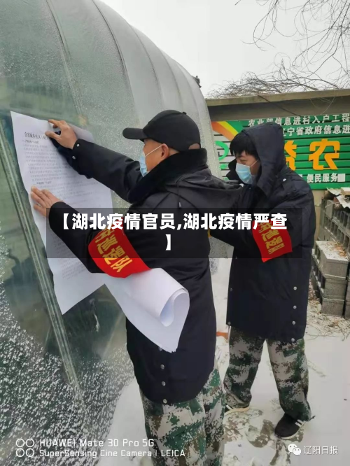 【湖北疫情官员,湖北疫情严查】-第1张图片