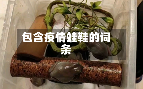 包含疫情蛙鞋的词条-第1张图片