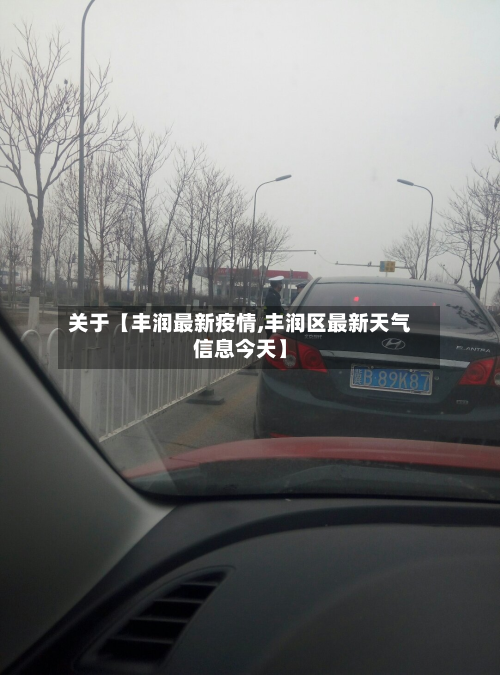 关于【丰润最新疫情,丰润区最新天气信息今天】-第2张图片
