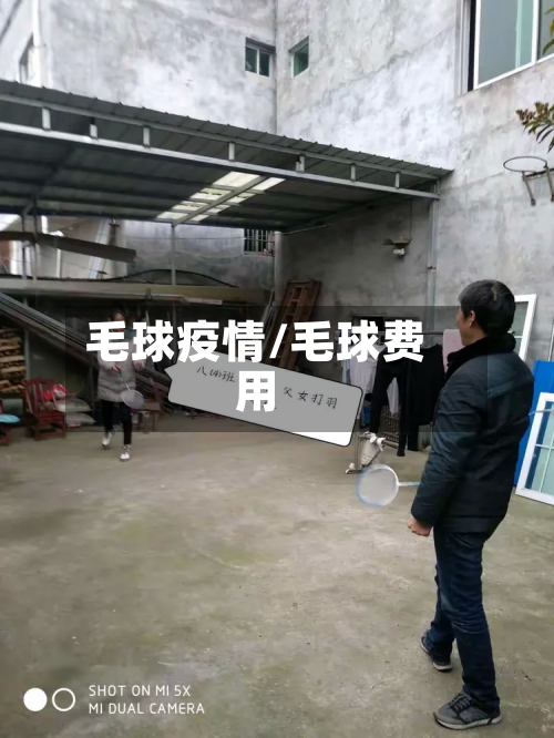 毛球疫情/毛球费用-第3张图片