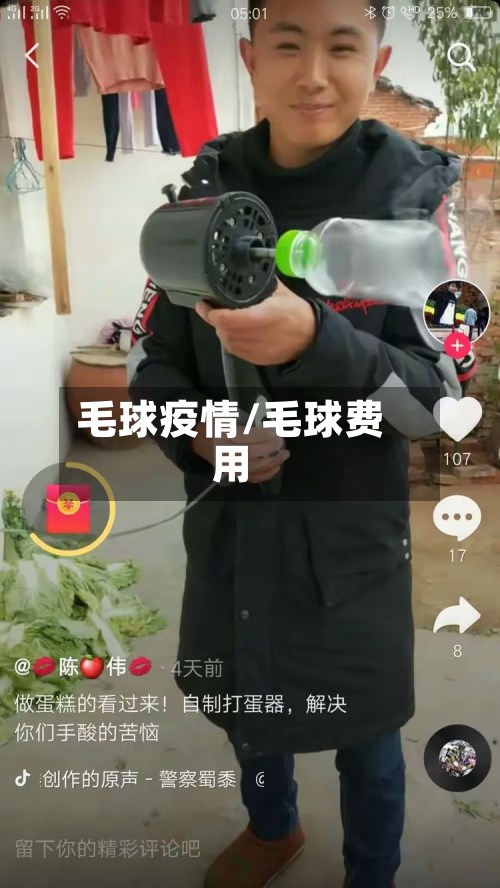 毛球疫情/毛球费用-第1张图片