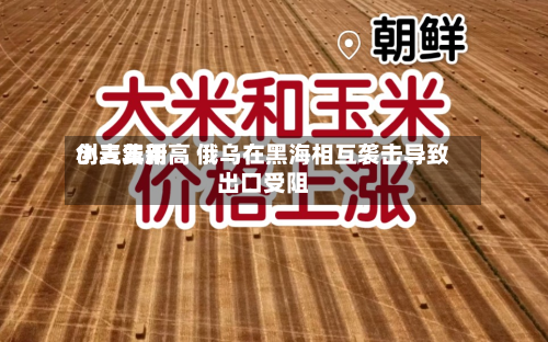 小麦费用创三年新高 俄乌在黑海相互袭击导致出口受阻-第2张图片