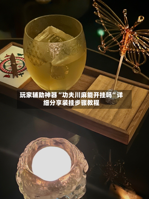 玩家辅助神器“功夫川麻能开挂吗”详细分享装挂步骤教程-第2张图片