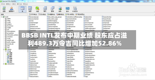 BBSB INTL发布中期业绩 股东应占溢利489.3万令吉同比增加52.86%-第1张图片