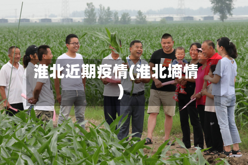 淮北近期疫情(淮北墒情)-第1张图片