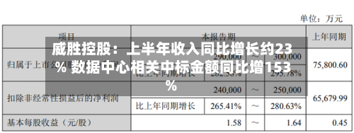威胜控股：上半年收入同比增长约23% 数据中心相关中标金额同比增153%-第2张图片