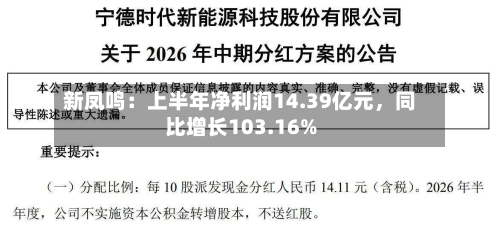 新凤鸣：上半年净利润14.39亿元	，同比增长103.16%-第1张图片