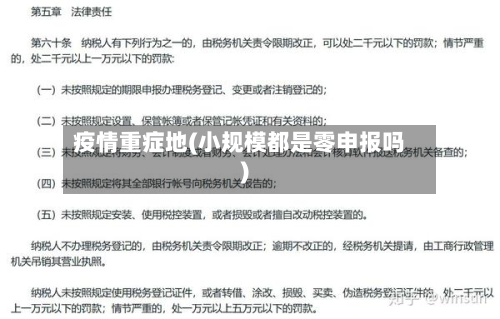 疫情重症地(小规模都是零申报吗)-第2张图片