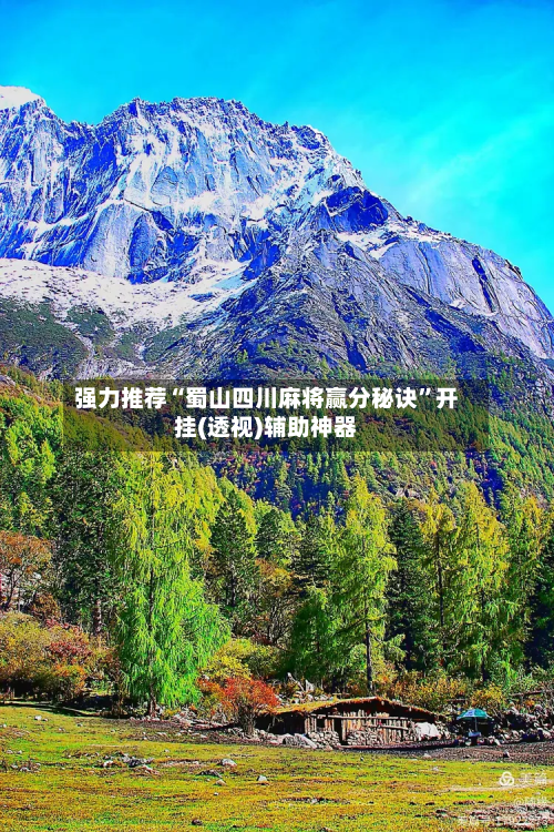 强力推荐“蜀山四川麻将赢分秘诀”开挂(透视)辅助神器-第1张图片