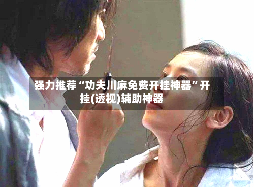 强力推荐“功夫川麻免费开挂神器	”开挂(透视)辅助神器-第2张图片