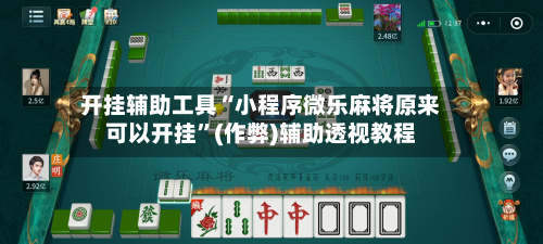开挂辅助工具“小程序微乐麻将原来可以开挂”(作弊)辅助透视教程-第2张图片