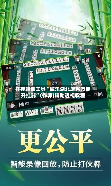 开挂辅助工具“微乐湖北麻将万能开挂器”(作弊)辅助透视教程-第3张图片