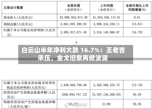 白云山半年净利大跌 16.7%：王老吉承压，金戈旧案再掀波澜-第3张图片