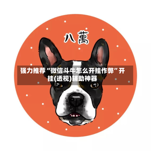 强力推荐“微信斗牛怎么开挂作弊”开挂(透视)辅助神器-第1张图片