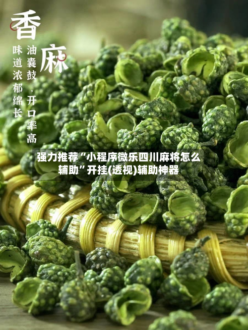 强力推荐“小程序微乐四川麻将怎么辅助	”开挂(透视)辅助神器-第3张图片