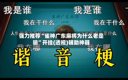 强力推荐“雀神广东麻将为什么老是输	”开挂(透视)辅助神器-第1张图片