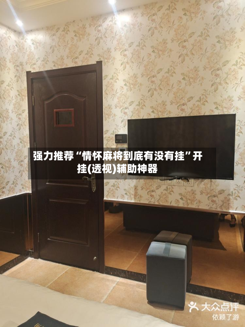 强力推荐“情怀麻将到底有没有挂	”开挂(透视)辅助神器-第2张图片
