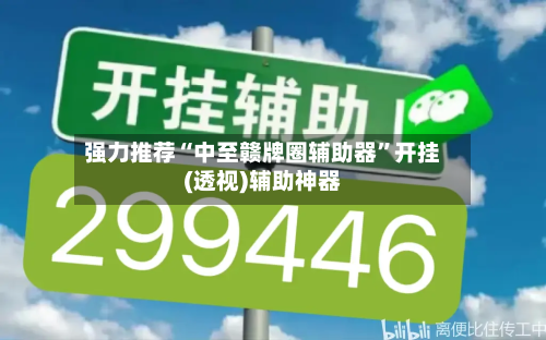 强力推荐“中至赣牌圈辅助器	”开挂(透视)辅助神器-第2张图片