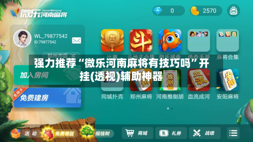 强力推荐“微乐河南麻将有技巧吗”开挂(透视)辅助神器-第3张图片