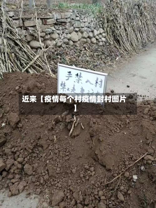近来【疫情每个村疫情封村图片】-第1张图片