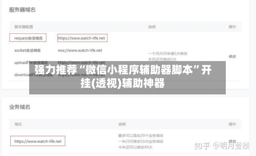 强力推荐“微信小程序辅助器脚本”开挂(透视)辅助神器-第1张图片