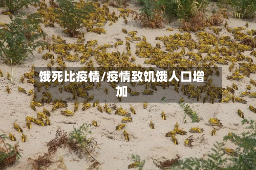 饿死比疫情/疫情致饥饿人口增加-第1张图片