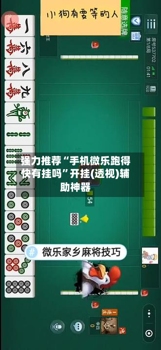 强力推荐“手机微乐跑得快有挂吗”开挂(透视)辅助神器-第1张图片
