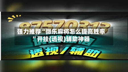 强力推荐“微乐麻将怎么提高胜率”开挂(透视)辅助神器-第2张图片