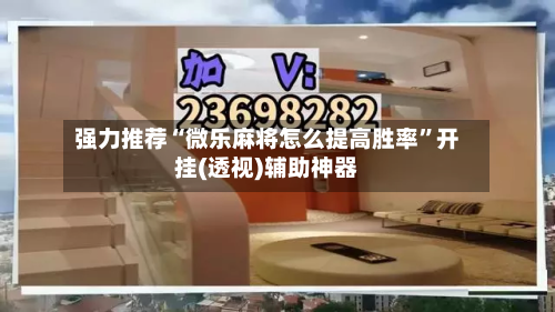 强力推荐“微乐麻将怎么提高胜率”开挂(透视)辅助神器-第3张图片