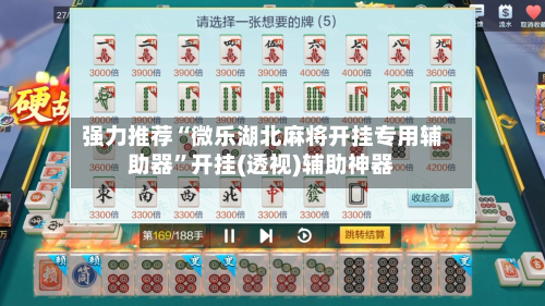 强力推荐“微乐湖北麻将开挂专用辅助器”开挂(透视)辅助神器-第2张图片