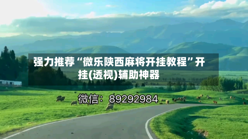 强力推荐“微乐陕西麻将开挂教程”开挂(透视)辅助神器-第2张图片